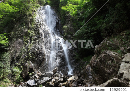 Capital waterfall Capital waterfall 13929901