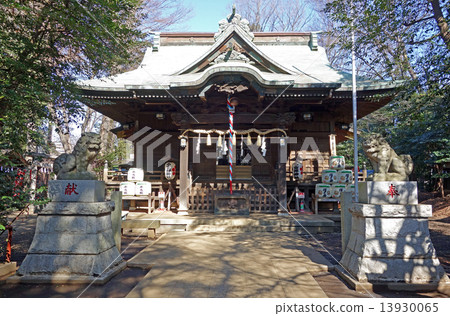 東京小金井市的小金井神社 13930065