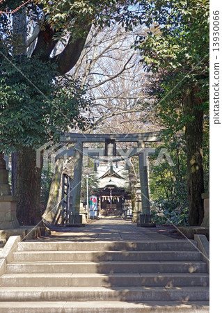 東京小金井市的小金井神社 13930066