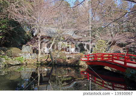 東京小金井市努久井神社 2015/02 13930067