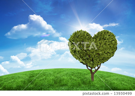Composite image of heart shaped plant Composite image of heart shaped plant 13930499