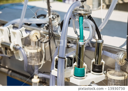 Automatic mechanized milking equipment for farm industry 13930730