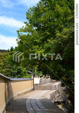 Scenery in Todaiji temple premises 13930960