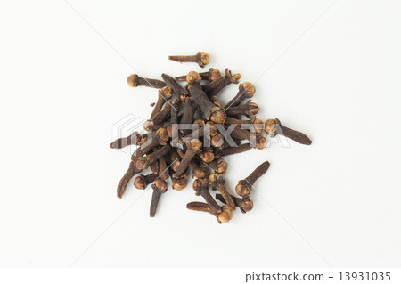 Clove 13931035