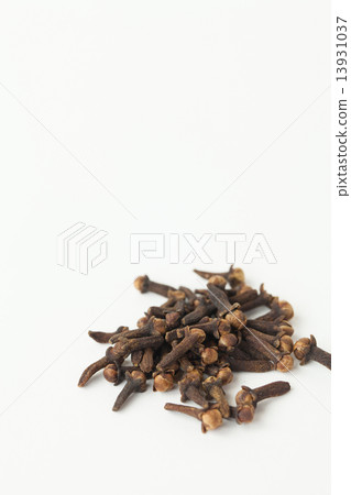 Clove 13931037