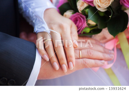 Hands Hands 13931624