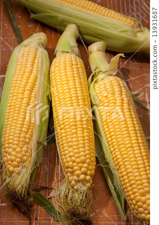 corn corn 13931687