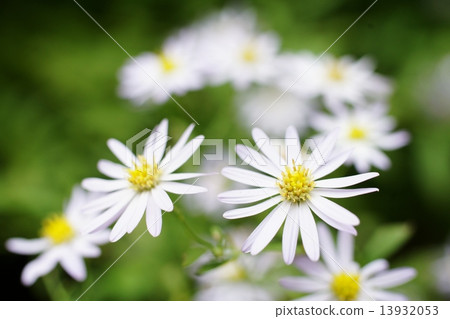 沒有滑稽的 沒有滑稽的 13932053