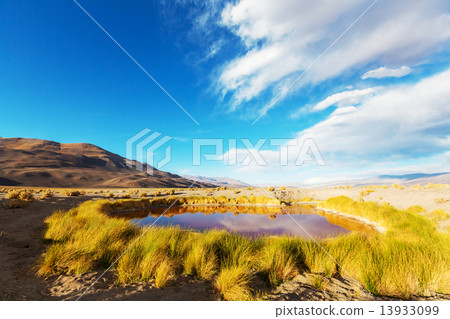 Northern Argentina 13933099