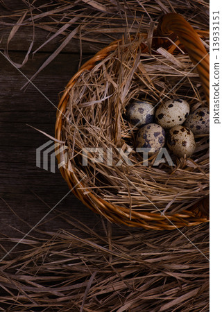 quail eggs in straw basket on rustic wooden background quail eggs in straw basket on rustic wooden background 13933151