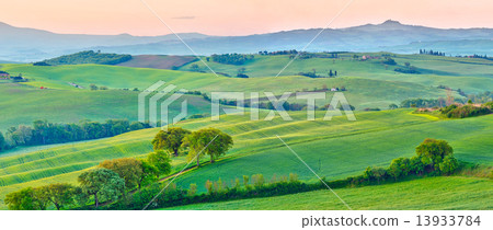 Tuscany at spring 13933784