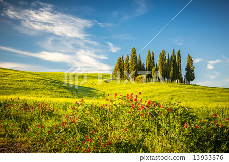 Tuscany at spring 13933876