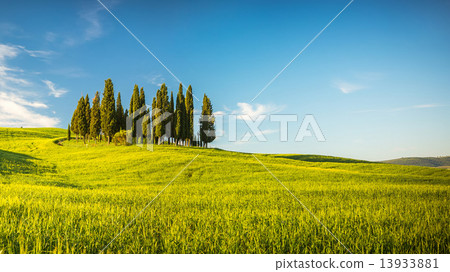 Tuscany at spring 13933881