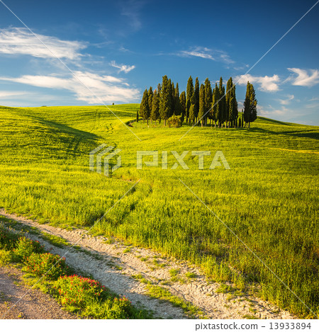 Tuscany at spring 13933894