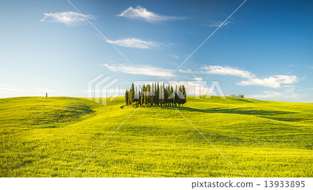 Tuscany at spring 13933895