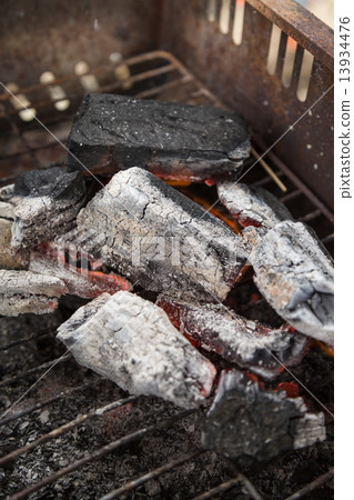 Coal 13934476