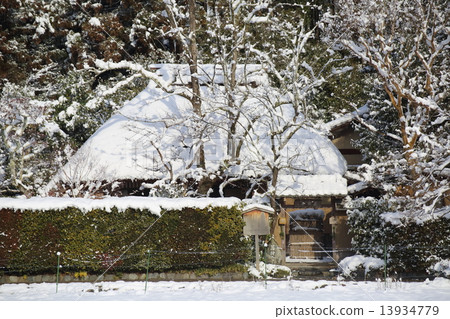京都雪落柿子 13934779
