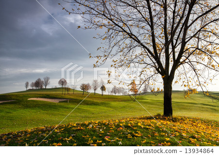 On the golf course in Prague On the golf course in Prague 13934864