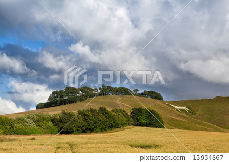 White horse on the hill White horse on the hill 13934867