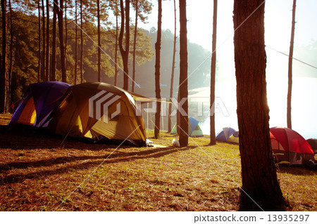 Camping at Pang Tong Under Royal Forest Park Camping at Pang Tong Under Royal Forest Park 13935297