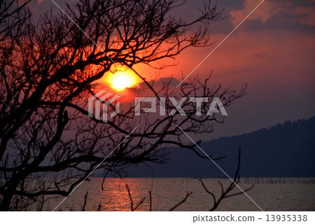琵琶湖日落美景 13935338