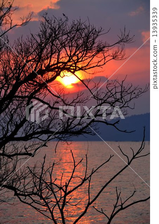 Lake Biwa sunset view Lake Biwa sunset view 13935339