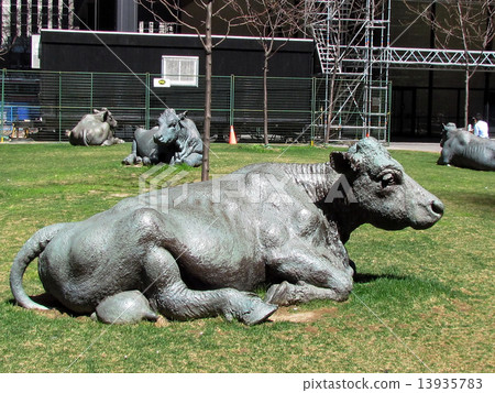 Toronto bronze cows 2013 Toronto bronze cows 2013 13935783