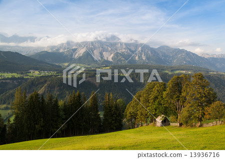 On pasture in mountains 13936716