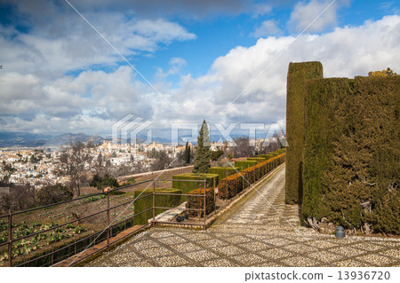 Gardens in Granada in winter Gardens in Granada in winter 13936720