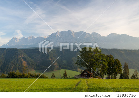 On pasture in mountains On pasture in mountains 13936730