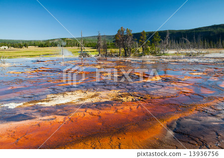 Geothermal field in Yellowstone National Park 13936756