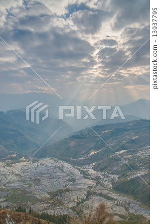 Yuanyang's rice terrace 13937795