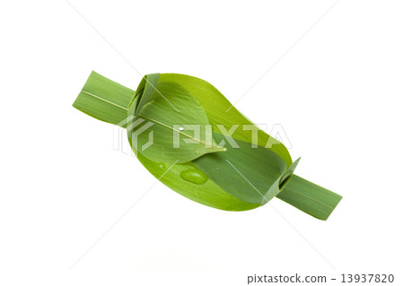 玩具竹葉舟 13937820