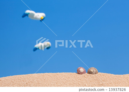Summer image 13937826