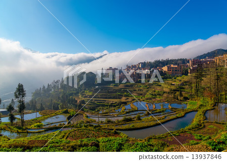 Yuanyang's rice terrace Yuanyang's rice terrace 13937846
