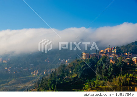 Yuanyang's rice terrace 13937849