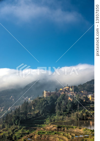 Yuanyang's rice terrace 13937850