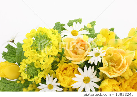 Arrangement of tulip and rape flower and mimosa (side part) 13938243