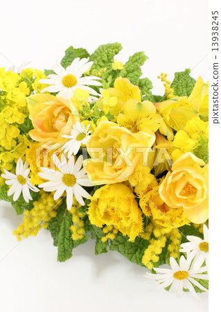 鬱金香和油菜花和含羞草的安排（左圖） 13938245