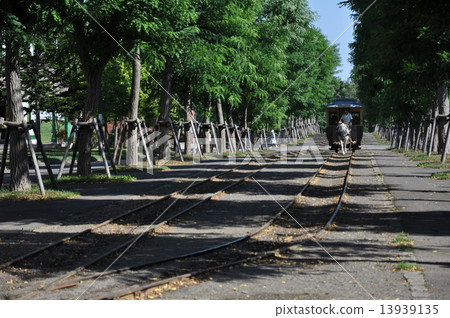 記憶的開拓性 13939135