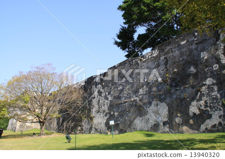 Fort of Monte 13940320