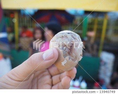 Ballot Ballot 13940749