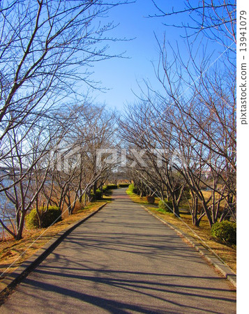 一條路 一條路 13941079