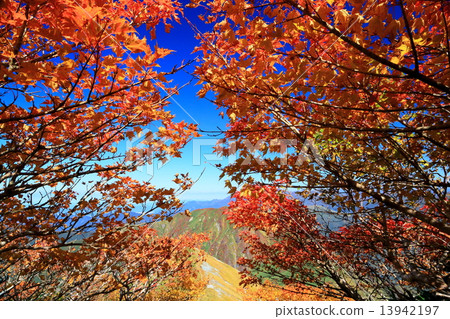 The autumn leaves of Mt. Tanigawa and Mogakura dake and toward Mt. The autumn leaves of Mt. Tanigawa and Mogakura dake and toward Mt. 13942197