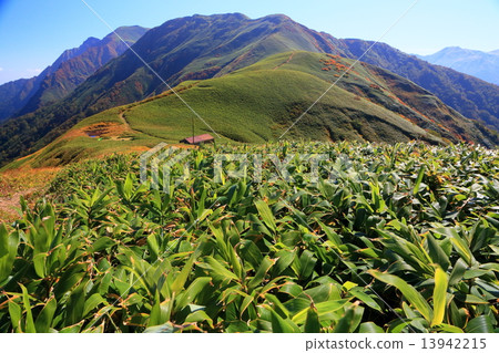 I wish for the Tanigawa mountains from the vicinity of Peng Pass I wish for the Tanigawa mountains from the vicinity of Peng Pass 13942215
