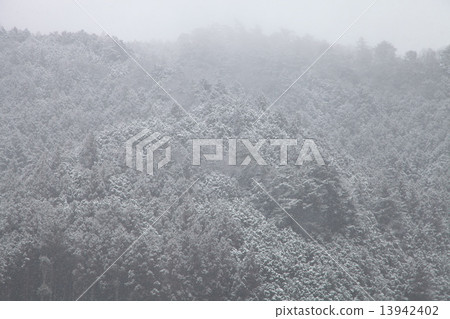 Snow scene Snow scene 13942402