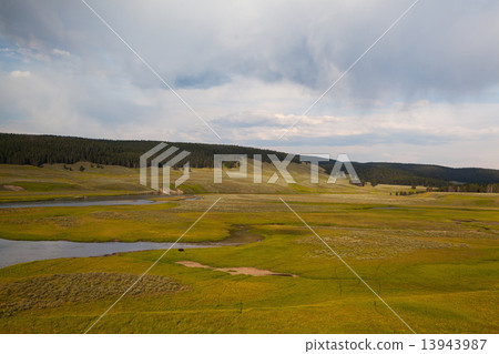 Hayden Valley - landscape of American Bison Hayden Valley - landscape of American Bison 13943987