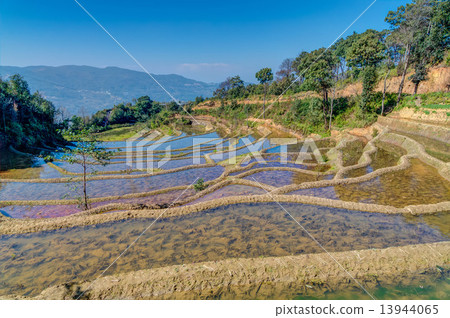 Yuanyang's rice terrace World heritage 13944065