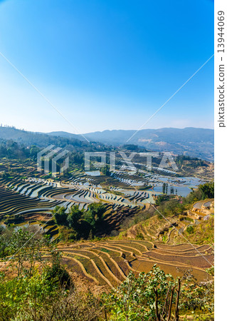 Yuanyang's rice terrace 13944069