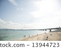 高麗島 13944723